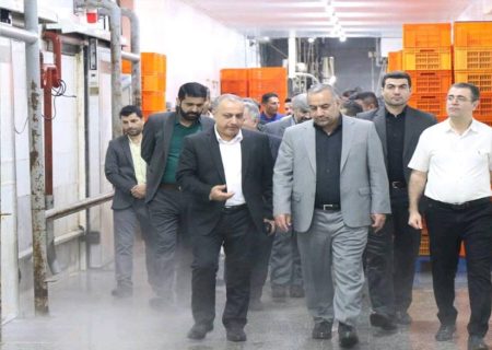 مهلت یک هفته‌ای برای رفع موانع یکی از بزرگترین زنجیره‌های تولید مواد پروتئینی گلستان
