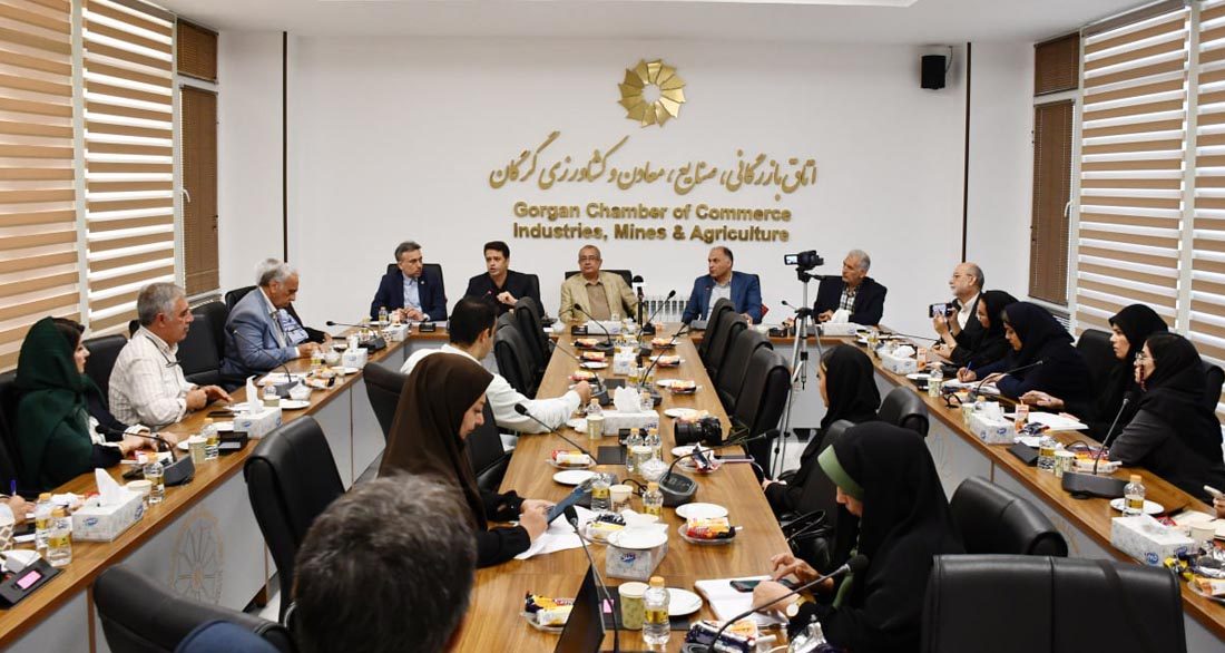 اگر پای دولت به قیمت‌گذاری باز شود بخش خصوصی به انحراف می‌رود