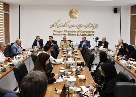 اگر پای دولت به قیمت‌گذاری باز شود بخش خصوصی به انحراف می‌رود
