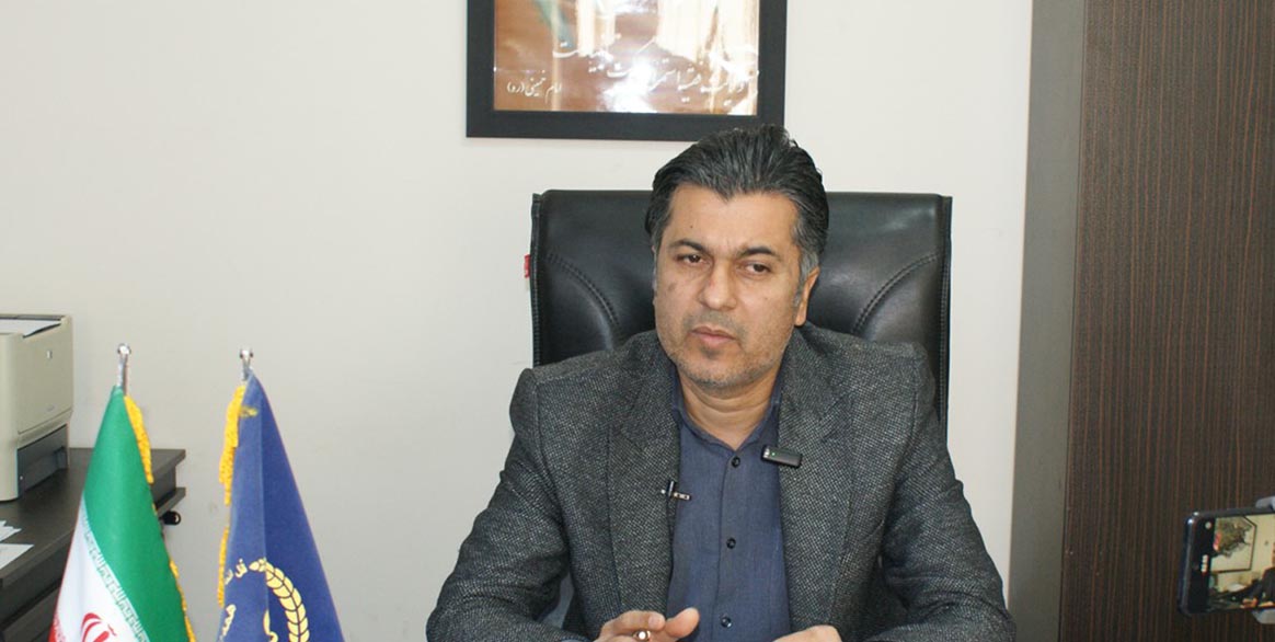 برآورد تولید ۱۰هزار تن زیتون در گلستان