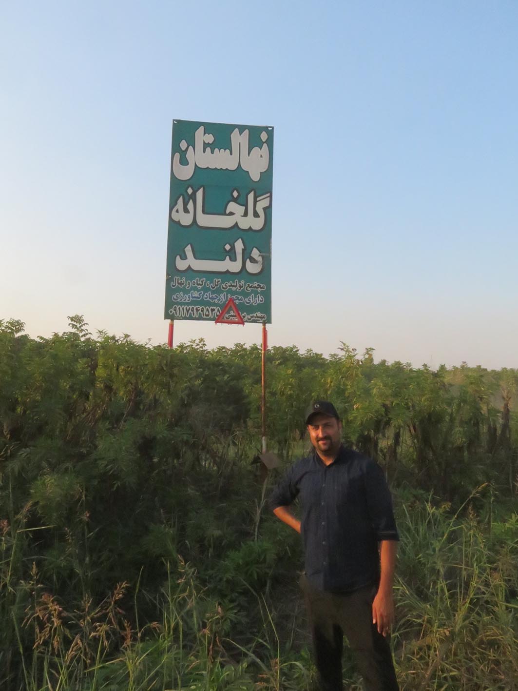 نخستین باغ مشترک گردوی پکان و انجیر در استان گلستان