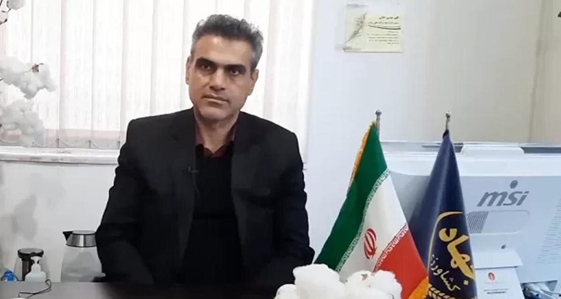۲۵ هزار هکتار از اراضی کشاورزی گلستان به کشت کلزا اختصاص یافت
