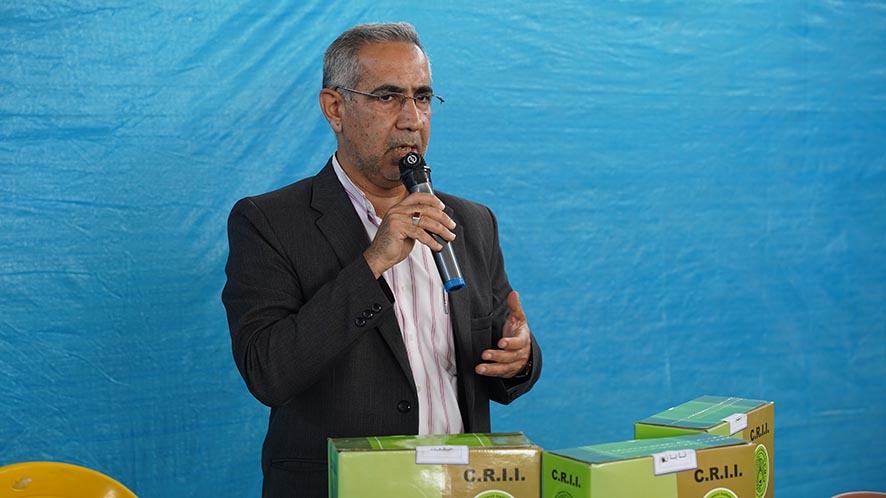 تولید ارقام بومی، بسته‌بندی استاندارد، هدف‌گذاری برای بازار اورگانیک 