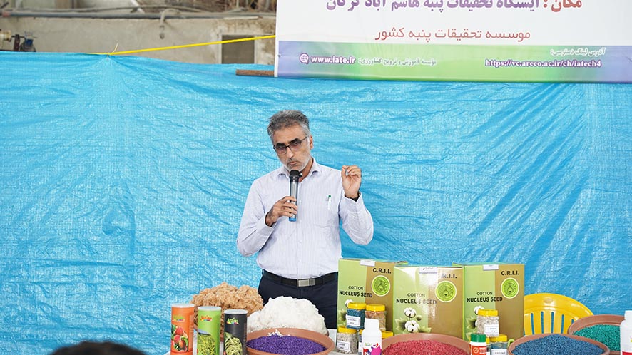 بیماری قرنطینه‌ای پنبه در فارس کنترل شد 