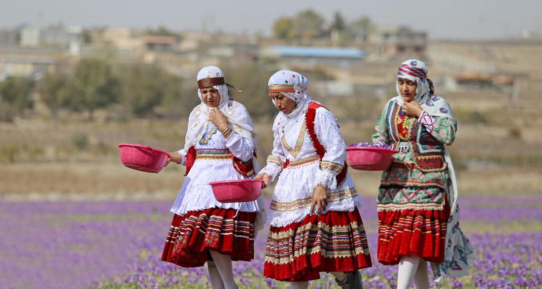 برنامه گلستان برای مقابله با خام‌فروشی و افزایش درآمد روستاها