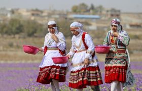 برنامه گلستان برای مقابله با خام‌فروشی و افزایش درآمد روستاها