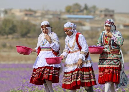 برنامه گلستان برای مقابله با خام‌فروشی و افزایش درآمد روستاها