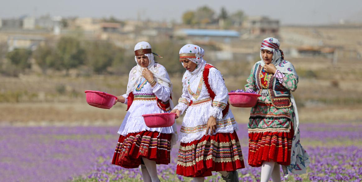 برنامه گلستان برای مقابله با خام‌فروشی و افزایش درآمد روستاها